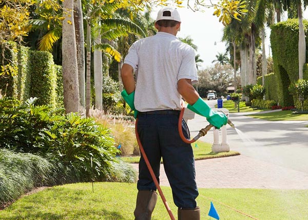 About Beavercreek OR Pest Control Pros